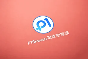 P1Browser 安全配置建议指南