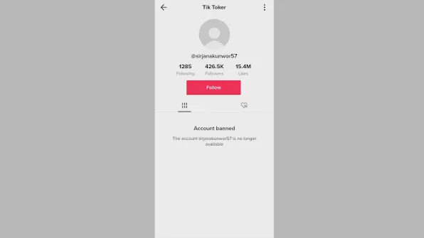 2026_年_TikTok_账号共享安全吗?团队协作管理完整指南 图2 2026_年_TikTok_账号共享安全吗?团队协作管理完整指南 图2