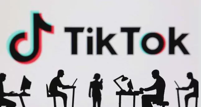 2026_年_TikTok_账号共享安全吗?团队协作管理完整指南 图1 2026_年_TikTok_账号共享安全吗?团队协作管理完整指南 图1
